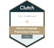Top NLP 2024 Company 2024