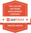 TOP CUSTOM SOFTWARE DEVELOPMENT DEVELOPMENT COMPANY